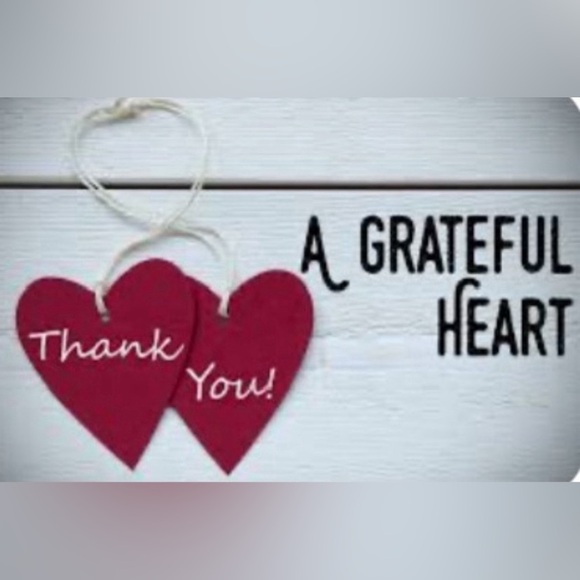 L MYSTERY BUNDLE BOX 5 ‼️ DIFFERENT UNLISTED ITEMS WITH ONE NWT ITEM INCLUDED - Picture 4 of 6